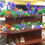Tropical Island Pets